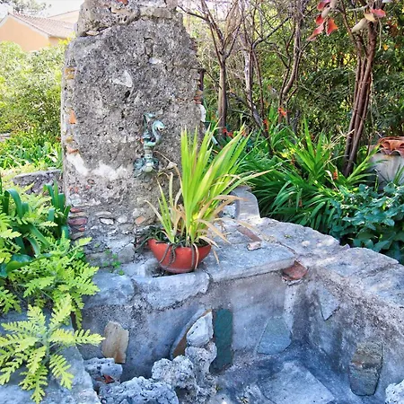 La Rara Centre Nyaraló *